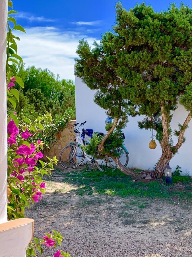 Meridium Formentera By Tentol Hotels Playa Migjorn Εξωτερικό φωτογραφία